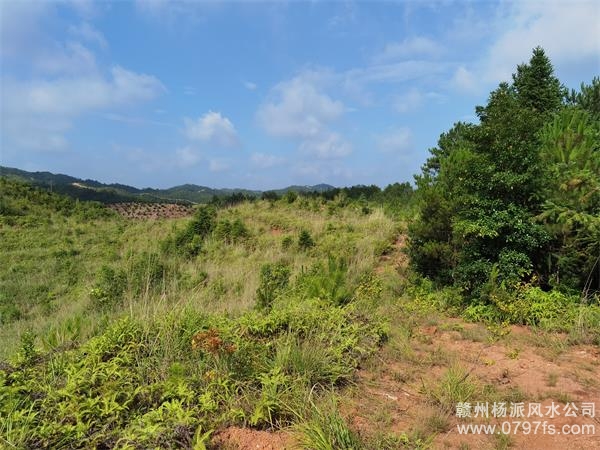 百色市带着徒弟上山学杨公风水现场操作