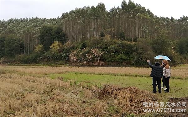 百色市陈老师带着爱徒寻龙点穴